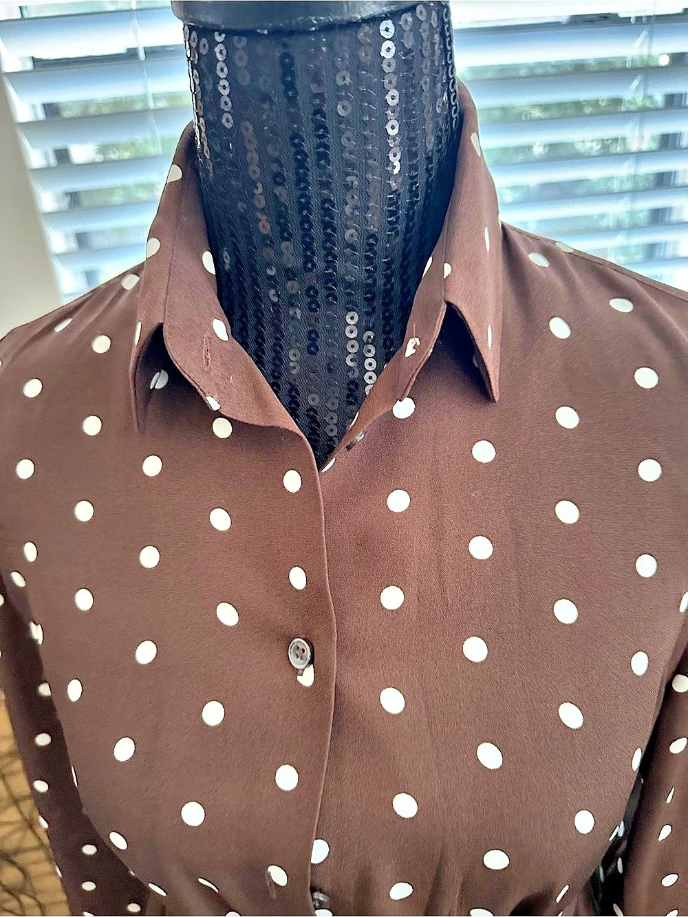 Polka Dot Button Down in Brown & White Like New